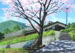  cherry_blossoms garden mountain no_humans original path power_lines rural scenery shadow stairs sunlight traditional_media tree tree_shade utility_pole yk_funa 