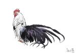  animal animal_focus bird black_feathers chicken feathers no_humans original rooster simple_background white_background white_feathers yk_funa 