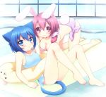  :&lt; all_fours animal_ears barefoot blue_eyes blue_hair breasts bunny_ears bunny_tail casual_one-piece_swimsuit cat_ears cat_tail cleavage feet hanging_breasts innertube large_breasts long_hair lying mani multiple_girls one-piece_swimsuit onka original pool poolside rabbit_ears red_eyes red_hair redhead sakura_(mani) short_hair swimsuit tail 