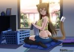  brown_eyes brown_hair cat_ears cat_tail collar indoors laundry long_hair shorts sitting tail taka_(aim-zero) thigh-highs thighhighs window 