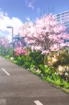  blue_sky building cherry_blossoms clouds cloudy_sky flower grass hedge lamppost original plant purple_flower road scenery sky tree yk_funa 