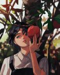  1girl absurdres apple apple_tree apron black_apron black_hair blurry blurry_background branch closed_mouth collared_shirt commentary_request day expressionless food fruit grey_eyes highres leaf myango_(applemangocrape) original outdoors shirt short_hair solo tree upper_body white_shirt 