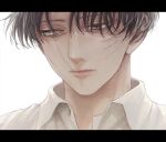  1boy black_hair commentary_request grey_eyes hair_over_eyes heterochromia letterboxed levi_(shingeki_no_kyojin) looking_down male_focus mo_cha_ri portrait scar scar_across_eye scar_on_cheek scar_on_face scar_on_lip shingeki_no_kyojin solo 