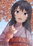  1girl artist_name autumn black_eyes black_hair dango food hair_ornament hairclip highres holding holding_food incoming_food japanese_clothes kimono leaf long_hair looking_at_viewer open_mouth outdoors purple_kimono raiz_art_works red_kimono red_sash sakurajima_mai sash seishun_buta_yarou solo tree upper_body wagashi 