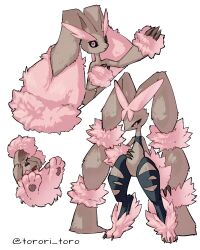  2girls absurdres alternate_color animal_ears animal_feet black_pantyhose black_sclera body_fur brown_fur buneary claws colored_sclera evolutionary_line full_body furry furry_female hand_on_own_hip highres looking_at_viewer lopunny mega_lopunny mega_pokemon multiple_girls pantyhose pawpads pink_eyes pokemon pokemon_(creature) rabbit_ears rabbit_girl shiny_pokemon simple_background standing torn_clothes torori_toro_(oimo_kenpi) two-tone_fur white_background 