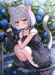  1girl absurdres animal_ears aqua_eyes bare_legs black_dress black_jacket blue_flower blush bu_leike cat_ears cat_girl cat_tail collarbone commentary_request dot_nose dress flower grey_hair grey_tail hennyano_(nachoneko) highres hydrangea indie_virtual_youtuber jacket jewelry leaf legs_folded legs_together looking_at_viewer nachoneko necklace open_clothes open_jacket outdoors pout short_dress short_hair single_bare_arm solo squatting star_(symbol) star_necklace tail virtual_youtuber 
