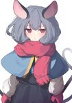  1girl animal_ears black_dress blue_capelet blush capelet closed_mouth dress fringe_trim garasuno grey_hair highres jewelry long_sleeves looking_at_viewer mittens mouse_ears mouse_tail nazrin pendant red_eyes red_mittens red_scarf scarf short_hair simple_background solo tail touhou white_background 