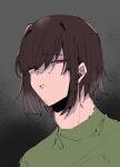1boy amiriari78 bangs brown_hair closed_mouth clothing deltarune eyebrows_behind_hair eyebrows_visible_through_hair eyes_visible_through_hair facing_viewer full_color green_shirt kris_(deltarune) looking_at_viewer male male_only open_eyes red_eyes shirt