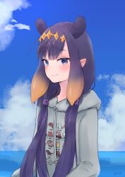  1girl blue_sky closed_mouth commentary eyelashes grey_hoodie highres hololive hololive_english hood hoodie long_hair long_sleeves ninomae_ina'nis pointy_ears purple_hair remism sky solo tentacle_hair untranslatable_commentary virtual_youtuber 