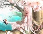  1girl :&gt; blurry blurry_background cherry_blossoms cherry_tree closed_mouth commentary_request full_body geta highres japanese_clothes kimono long_hair matsu_bokkuri original petite pink_hair pink_kimono sitting_on_branch smile solo very_long_hair water 