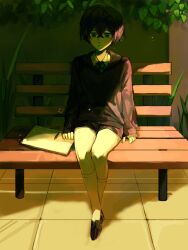  1boy :| bench black_hair black_shorts black_socks black_sweater closed_mouth collared_shirt commentary crossed_ankles crossed_bangs degrees_of_lewdity double-parted_bangs expressionless full_body grass green_eyes green_necktie hair_between_eyes highres kneehighs kylar_(degrees_of_lewdity) kylar_(male)_(degrees_of_lewdity) leaf legs_together looking_ahead male_focus necktie notebook on_bench oneoffmind23094 outdoors park_bench pencil shade shirt short_hair shorts sidelighting sitting sleeves_past_wrists socks solo sweater untranslatable_commentary white_shirt white_socks 