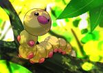  animal_focus branch brown_eyes bug commentary_request day horns leaf looking_up no_humans omega_takai outdoors pokemon pokemon_(creature) single_horn weedle 