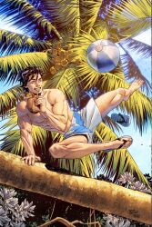  1boy alternate_costume batman_(series) belenortega black_hair blue_shorts coconut coconut_cup cup day dc_comics dick_grayson drinking_straw flip-flops flower fruit_as_cup highres holding holding_cup male_focus multicolored_shrug outdoors palm_tree sandals short_hair shorts signature topless_male tree two-tone_shrug white_flower white_shorts 