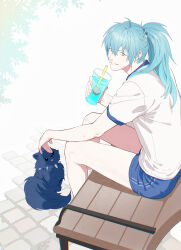  1boy animal bare_legs bench blue_hair blue_shorts brown_eyes commentary_request dog dramatical_murder gym_uniform high_ponytail highres looking_at_viewer male_focus miemia ponytail ren_(dramatical_murder) seragaki_aoba shirt short_shorts shorts simple_background sitting t-shirt white_background white_shirt 
