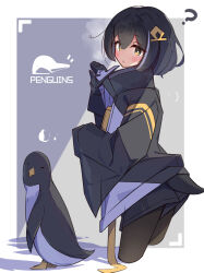  1girl ? bird black_gloves black_hair black_jacket black_pantyhose black_shorts blush border bright_pupils commentary_request cropped_legs double-parted_bangs gloves grey_background hair_between_eyes hand_up highres index_finger_raised jacket long_sleeves looking_at_viewer multicolored_hair original outside_border pantyhose pantyhose_under_shorts parted_lips penguin short_hair shorts single_hair_streak solo streaked_hair sweatdrop tetenka white_border white_pupils white_streaks yellow_eyes 