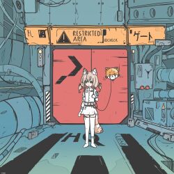  animal_ear_fluff arm_pouch belt_pouch black_eyes boots brown_hair cable cyber_fashion english_text erwinwitch50196 gloves highres indoors industrial_pipe komachi_panko logo looking_at_viewer non-humanoid_robot phase_connect pouch red_panda_ears red_panda_girl red_panda_tail robot science_fiction shirt short_eyebrows sign sliding_doors standing thigh_boots thigh_strap warning_sign white_boots white_gloves white_shirt zettai_ryouiki 