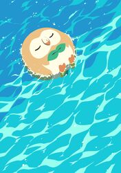  absurdres afloat animal_focus bird closed_eyes day feathers highres lying no_humans ocean on_back outdoors owl pokemon pokemon_(creature) rowlet water youko-shima 