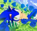  1boy blue_flower blue_rose chaosrice clouds flower gloves grass green_eyes hedgehog highres looking_at_viewer male_focus on_grass outdoors rose sky smile sonic_(series) sonic_the_hedgehog tail white_gloves 