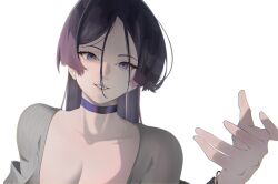  1girl absurdres breasts choker fate/grand_order fate_(series) highres huge_breasts jewelry long_hair looking_at_viewer mature_female minamoto_no_raikou_(fate) pov purple_hair simple_background slob_slime tall_female violet_eyes white_background 
