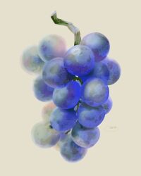  commentary english_commentary food food_focus fruit grapes highres no_humans original signature simple_background white_background yamamotorino_rino_yamamoto_brasschaatl 