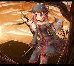  animal_ears blush gothic_lolita mystia_lorelei pantyhose pink_hair pink_legwear sky solo striped striped_legwear sunset thigh_highs touhou wings yuzutei 