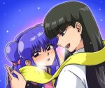  1boy 1girl asian black_hair bow couple double_bun hair_bow hair_bun hetero mousse_(ranma_1/2) night night_sky open_mouth pink_bow ranma_1/2 shampoo_(ranma_1/2) sky star_(sky) starry_sky teeth upper_teeth_only wanta_(futoshi) winter 