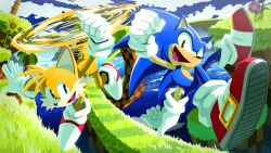 2boys absurdres animal_nose blue_eyes blue_fur flower fox_boy furry furry_male gloves grass green_eyes green_hill_zone hedgehog_boy helicopter_tail highres loop-the-loop multiple_boys multiple_tails orange_fur pocho22059768 red_shoes shoes short_tail sonic_(series) sonic_the_hedgehog sunflower tail tails_(sonic) two_tails white_gloves 