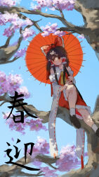  1girl ascot blue_sky bow brown_hair brown_shoes cherry_blossoms chuurippi commentary_request day detached_sleeves frilled_bow frilled_hair_tubes frills hair_bow hair_tubes hakurei_reimu highres holding holding_umbrella loafers long_hair oil-paper_umbrella red_bow red_eyes red_skirt red_umbrella ribbon-trimmed_sleeves ribbon_trim shoes sitting_on_branch skirt skirt_set sky socks solo touhou translation_request tree umbrella white_socks yellow_ascot 