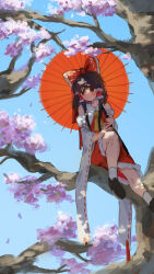  1girl ascot blue_sky bow brown_hair brown_shoes cherry_blossoms chuurippi commentary_request day detached_sleeves frilled_bow frilled_hair_tubes frills hair_bow hair_tubes hakurei_reimu highres holding holding_umbrella loafers long_hair oil-paper_umbrella red_bow red_eyes red_skirt red_umbrella ribbon-trimmed_sleeves ribbon_trim shoes sitting_on_branch skirt skirt_set sky socks solo touhou tree umbrella white_socks yellow_ascot 
