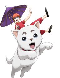  1girl animal arm_up artist_request black_shoes blue_eyes breasts bun_cover chinese_clothes dog double_bun fangs gintama hair_bun hand_up holding holding_umbrella kagura_(gintama) looking_at_viewer official_art oil-paper_umbrella open_mouth orange_hair oversized_animal pants purple_umbrella red_pants red_shirt riding riding_animal sadaharu second-party_source shirt shoes short_hair short_sleeves simple_background sitting_on_animal small_breasts smile solo teeth tongue transparent_background umbrella upper_teeth_only v white_dog yellow_trim 