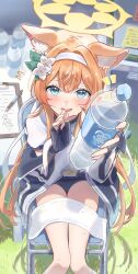  1girl animal_ear_fluff animal_ears blue_archive blush bottle cat_ears chair flower folding_chair gym_shirt gym_shorts gym_uniform hair_flower hair_ornament hairband halo highres holding holding_bottle jacket looking_at_viewer mari_(blue_archive) mari_(track)_(blue_archive) multicolored_jacket official_alternate_costume on_chair orange_hair plastic_bottle ponte_irai shirt shorts sitting sweat towel track_jacket trinity_general_school_logo two-tone_jacket water_bottle white_flower white_hairband yellow_halo 