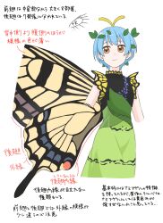  1girl absurdres blue_hair butterfly_wings closed_mouth commentary_request dress eternity_larva fairy green_dress highres insect_wings ktune_udon leaf leaf_on_head looking_at_viewer multicolored_dress orange_eyes pointing_out_the_details short_hair simple_background smile solo touhou translation_request white_background wings yellow_wings 
