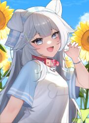  1girl absurdres aisha_qmuy animal_ears blue_eyes collar dog_ears dog_girl fang flower grey_hair hair_ornament highres indie_virtual_youtuber long_hair looking_at_viewer open_mouth pink_collar shirt skin_fang solo spiked_collar spikes sunflower vei_(dog_girl)_(vtuber) vei_(vtuber) virtual_youtuber white_shirt x_hair_ornament 