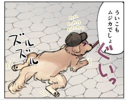  >_< animal animal_focus animalization bang_dream! bang_dream!_it's_mygo!!!!! baseball_cap black_hat border commentary_request dog flying_sweatdrops hat leash misumi_uika no_humans setou_(bpdne) solo speech_bubble translation_request white_border yellow_dog 