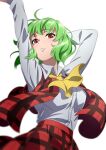  1girl arms_up green_hair gyouza_(mhea5724) highres jacket kazami_yuuka neckerchief plaid plaid_jacket plaid_skirt red_eyes red_jacket red_skirt shirt short_hair skirt solo touhou white_background white_shirt yellow_neckerchief 