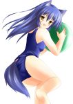  animal_ears ball beachball blue_hair dog_ears dog_tail highres kotarou long_hair looking_back neko_pan one-piece_swimsuit school_swimsuit solo swimsuit tail wanko_to_kurasou yellow_eyes 