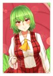  1girl ascot blackstick128 blush breasts closed_mouth commentary green_hair highres holding holding_umbrella kazami_yuuka large_breasts long_sleeves looking_at_viewer plaid plaid_vest red_eyes red_skirt red_umbrella red_vest sailor_collar shirt short_hair skirt smile solo touhou umbrella vest white_shirt yellow_ascot 