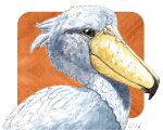  abstract_background animal animal_focus artist_name bird border closed_mouth commentary_request from_side no_humans orange_background original portrait realistic shoebill simple_background solo square_background white_background white_border wilvogel yellow_eyes 