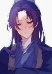  1boy blush bun_cover chinese_clothes frown hanfu highres jinshi_(kusuriya_no_hitorigoto) kusuriya_no_hitorigoto long_hair male_focus natsuneco_02 purple_hair purple_robe robe simple_background solo upper_body v-shaped_eyebrows white_background 