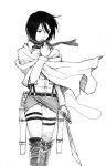  1girl black_hair mikasa_ackerman scarf shingeki_no_kyojin short_hair solo sword 