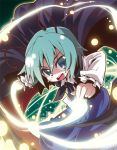  akaneya bad_id danmaku solo touhou wriggle_nightbug 