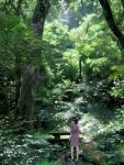  bench black_hair bob_cut child forest furu japanese_clothes kimono nature plant scenery short_hair solo table tree water_bottle 
