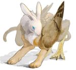 bird_wings blue_eyes chimera feathered_wings kui_ryouko leopard_tail lowres monster original rabbit spurs tail talons wings 