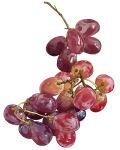  food food_focus fruit grapes highres miri_illust no_humans original realistic simple_background white_background 