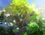  blue_sky commentary_request day kaigen_1025 nature original outdoors scenery sky tagme tree 
