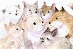 :3 absurdres animal_focus closed_eyes closed_mouth ezo_red_fox fennec_fox ferret fluefluekoubo26 fox highres no_humans original painting_(medium) simple_background tail traditional_media watercolor_(medium) whiskers white_background 