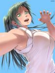 blush breasts foreshortening green_eyes green_hair hands higurashi_no_naku_koro_ni large_breasts long_hair ponytail solo sonozaki_mion zenkou 