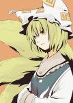  animal_ears cat_eyes fox_tail hands_in_sleeves hat ica multiple_tails profile solo tail touhou yakumo_ran yellow_eyes 