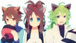  animal_ears antenna_hair bad_id blue_eyes brown_eyes brown_hair cat_ears green_eyes green_hair hat hat_removed headwear_removed kemonomimi_mode n_(pokemon) no_hat no_headwear pokemon pokemon_(game) pokemon_black_and_white pokemon_bw touko_(pokemon) touya_(pokemon) ueno_makoto 