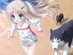  alternate_hairstyle blue_eyes dog fang game_cg jogging kud_wafter little_busters!! na-ga noumi_kudryavka open_mouth running strelka 